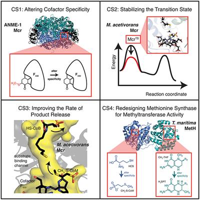 Computationally Exploring and Alleviating the Kinetic Bottlenecks of Anaerobic Methane Oxidation